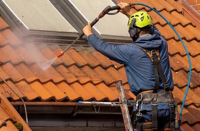 Démoussage et hydrofuge de toiture à Nozeroy